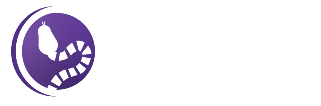 RC IT Services